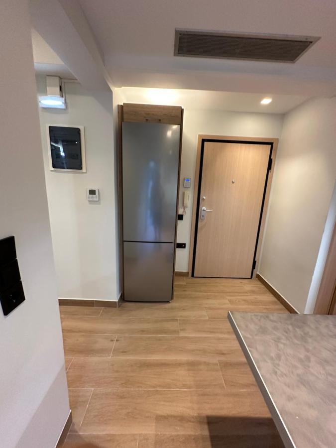 Vasilis Luxury Apartment เอเธนส์ ภายนอก รูปภาพ